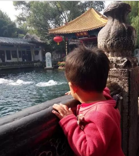 美国耳蜗